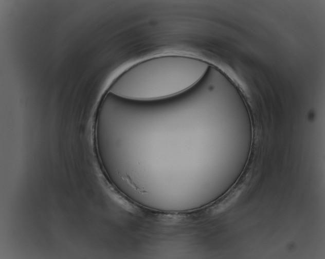 X0000094790854200711160915
