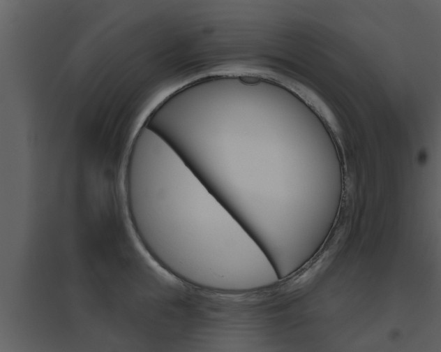 X0000094790855200711160915