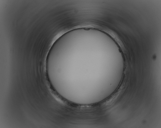 X0000094790858200711160915