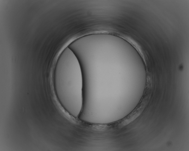 X0000094790859200711160915