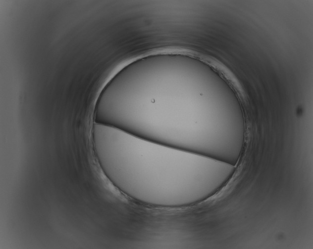 X0000094790860200711160915