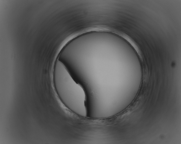 X0000094790861200711160915