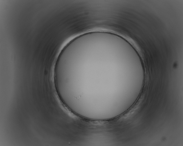 X0000094790862200711160915