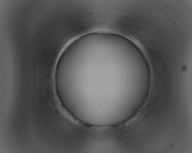 X0000094790864200711160915