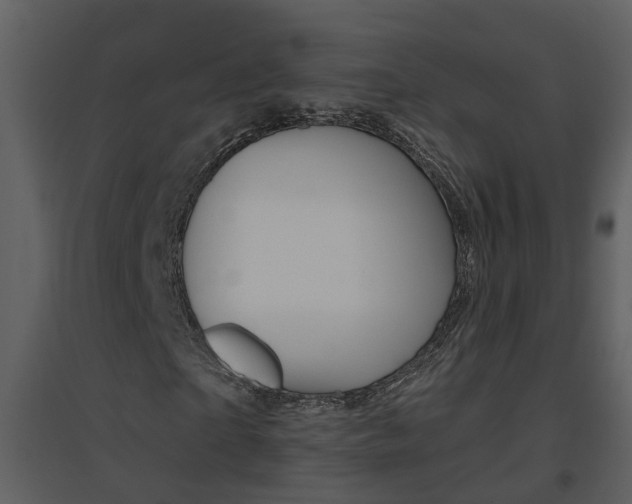 X0000094790865200711160914