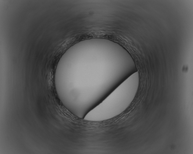 X0000094790866200711160914