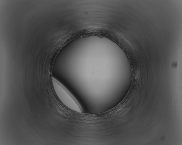 X0000094790868200711160914