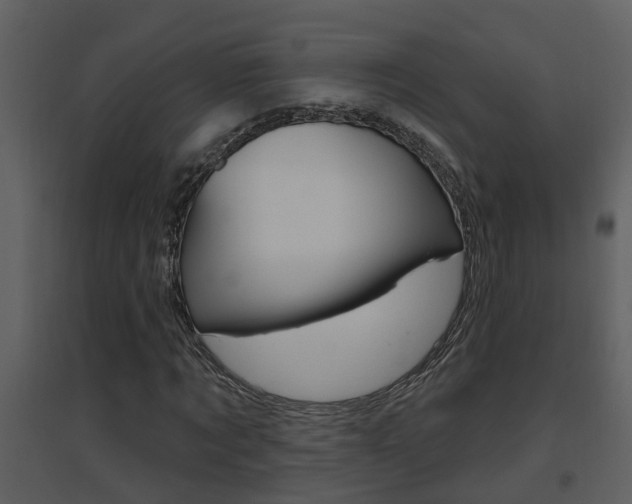 X0000094790869200711160914