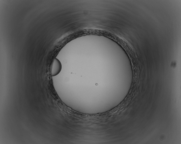 X0000094790870200711160914