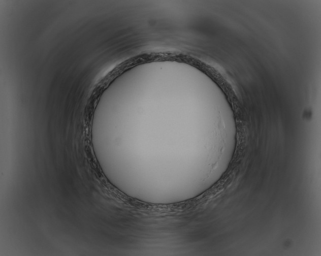 X0000094790871200711160914