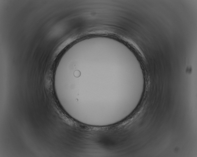 X0000094790874200711160914