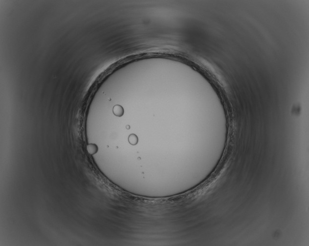 X0000094790875200711160914