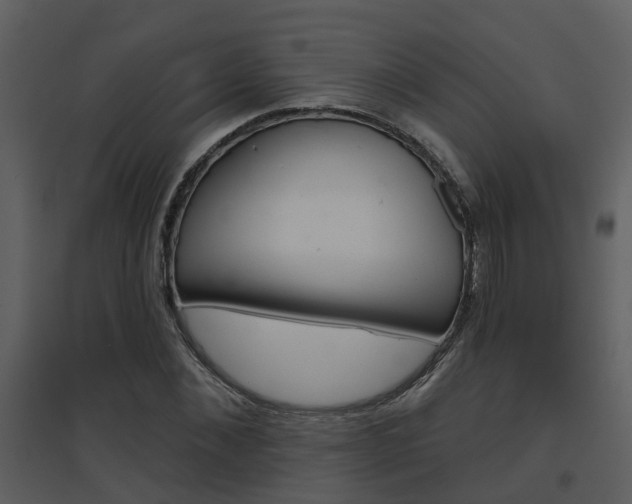 X0000094790876200711160914
