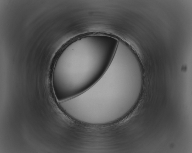 X0000094790880200711160914