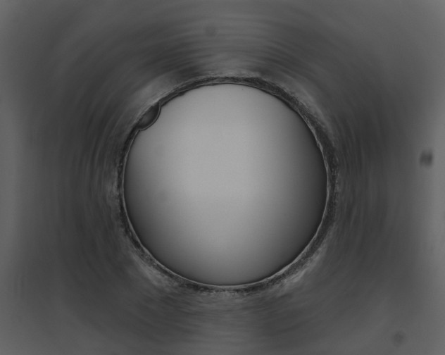 X0000094790881200711160914