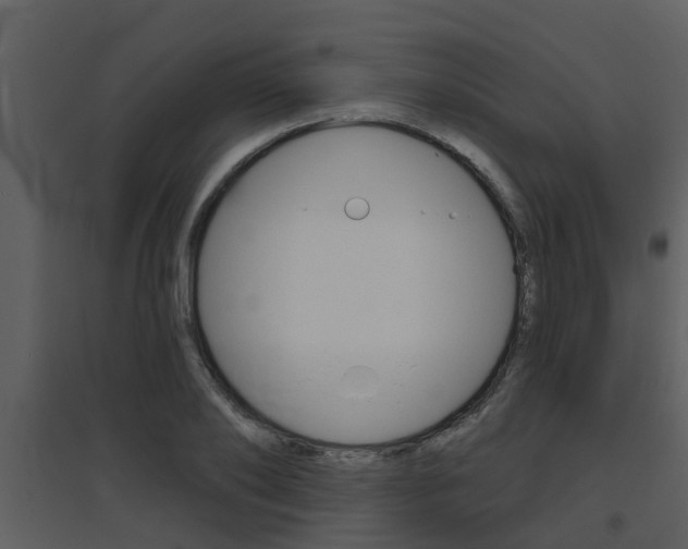 X0000094790886200711160914
