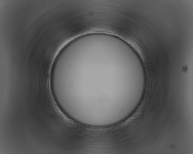 X0000094790888200711160914