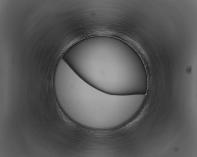 X0000094790889200711160914