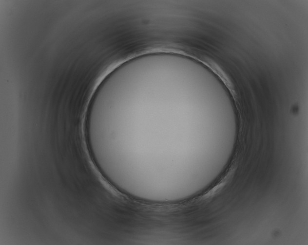 X0000094790893200711160914