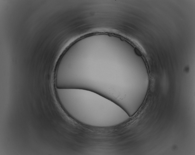 X0000094790895200711160914