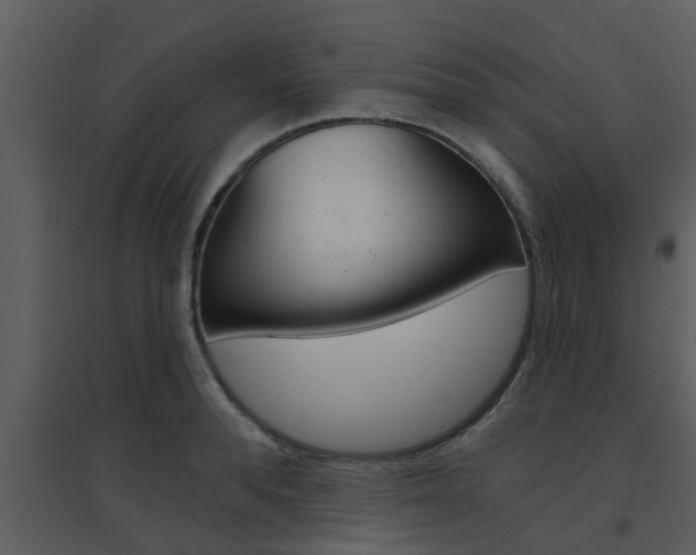 X0000094790896200711160914
