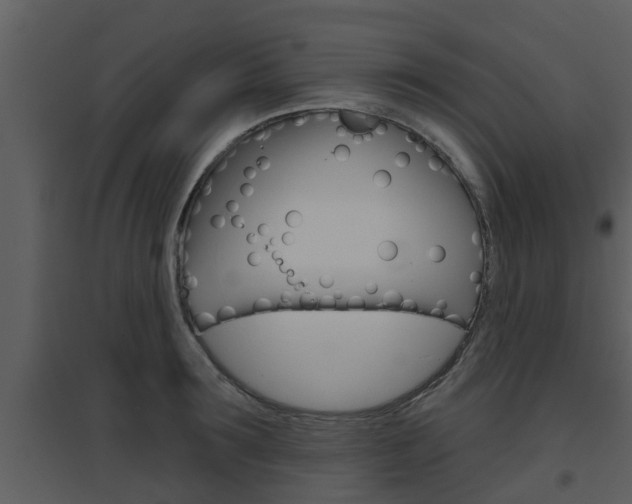 X0000094790899200711160914