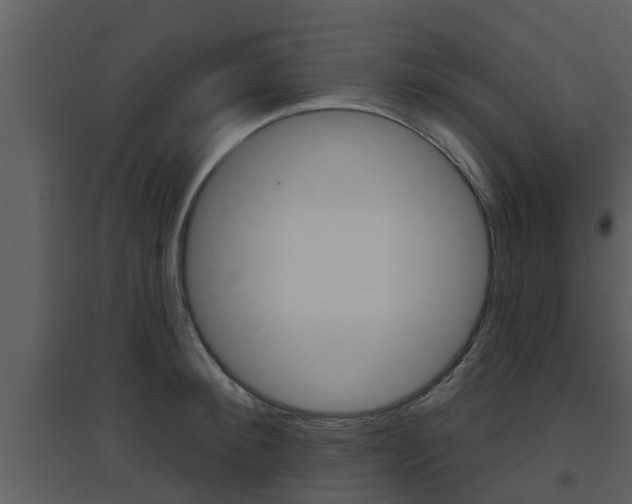 X0000094790900200711160914