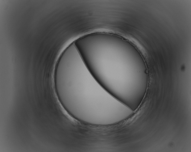 X0000094790902200711160914