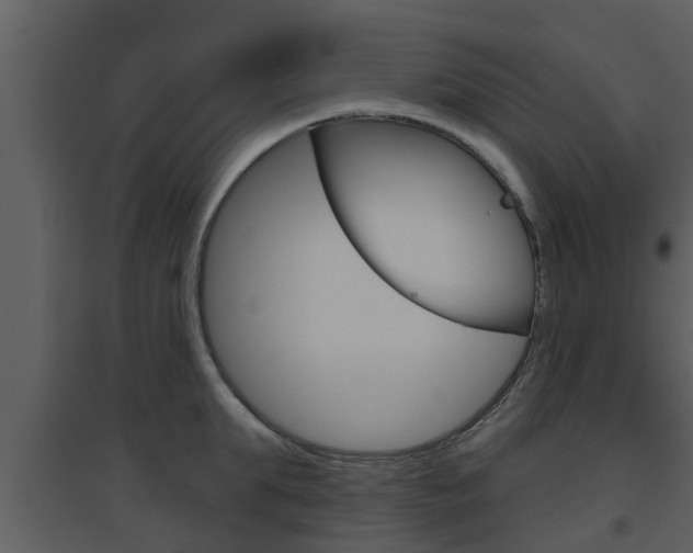 X0000094790903200711160914