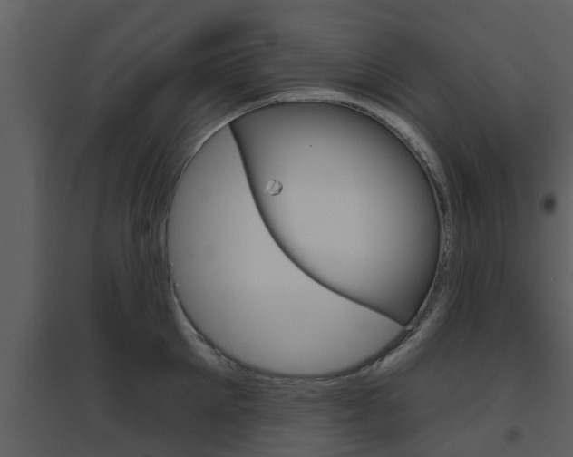 X0000094790905200711160914