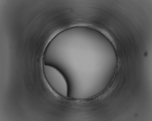 X0000094790906200711160914
