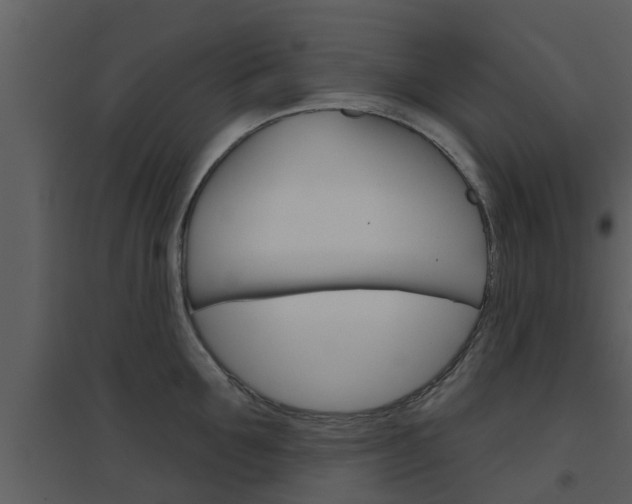 X0000094790907200711160914