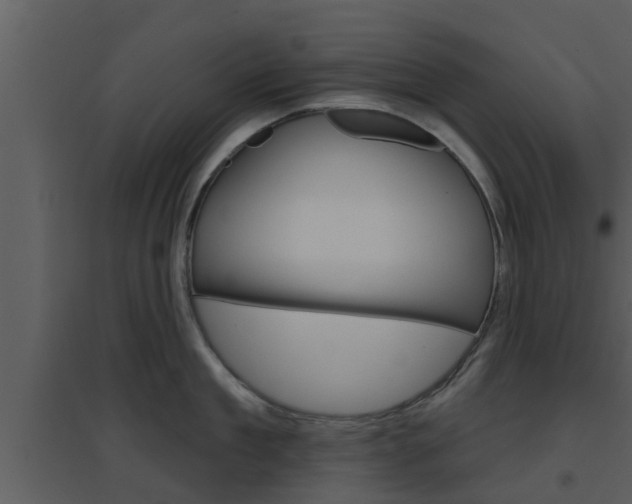 X0000094790909200711160914