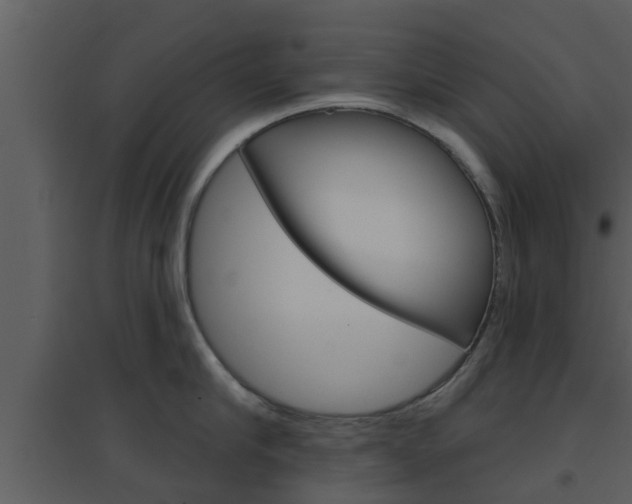 X0000094790910200711160914