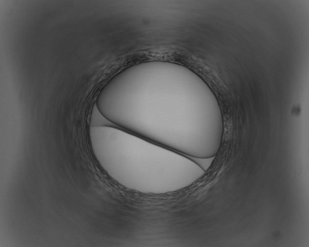 X0000094790913200711160913