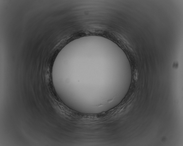 X0000094790915200711160913