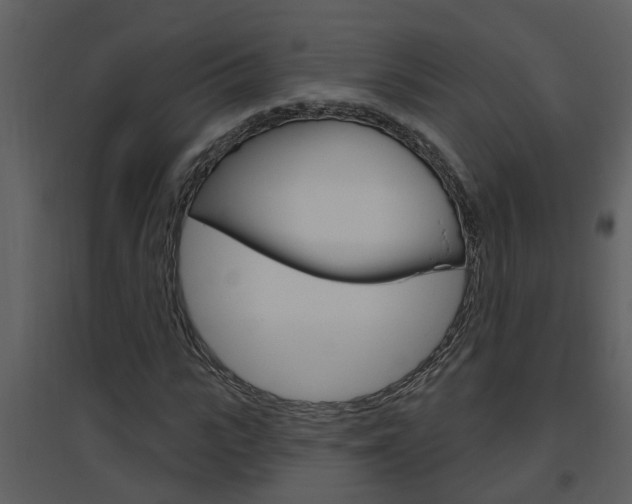 X0000094790919200711160913