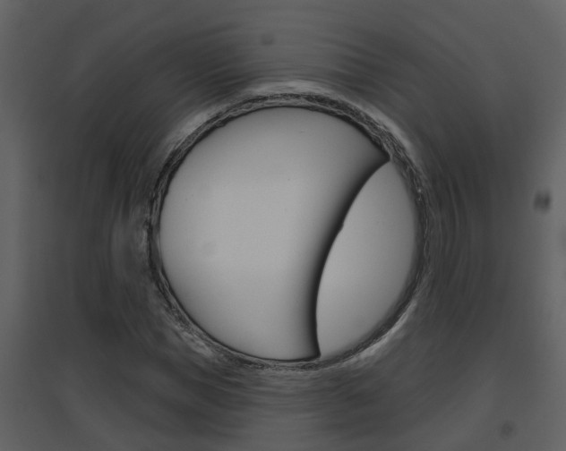 X0000094790921200711160913