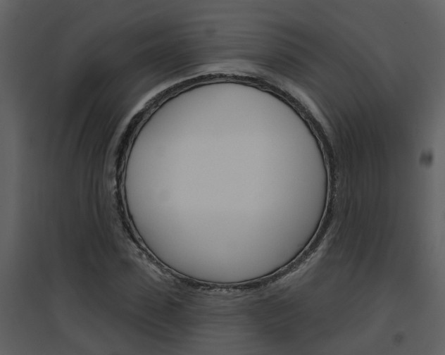 X0000094790923200711160913