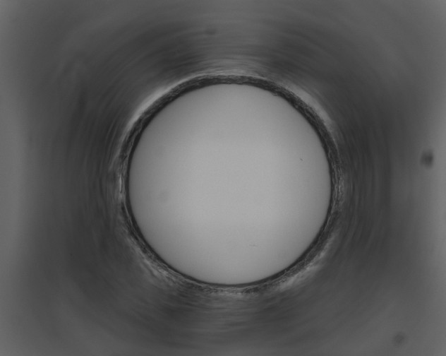 X0000094790925200711160913