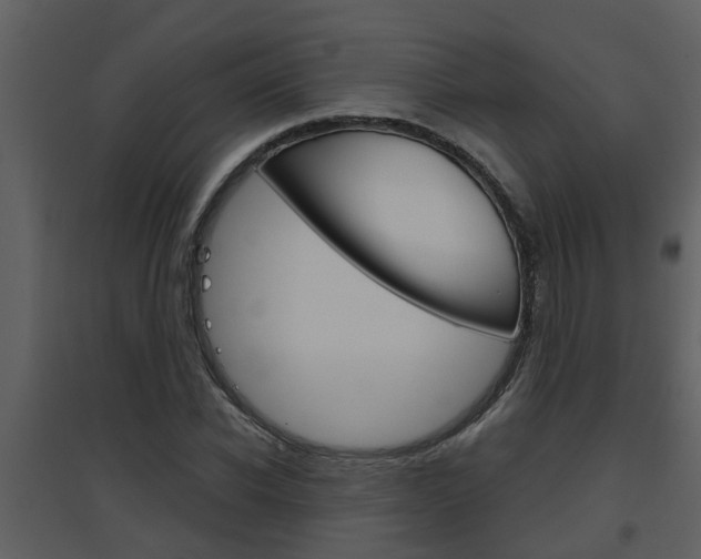 X0000094790926200711160913