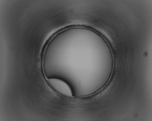 X0000094790927200711160913
