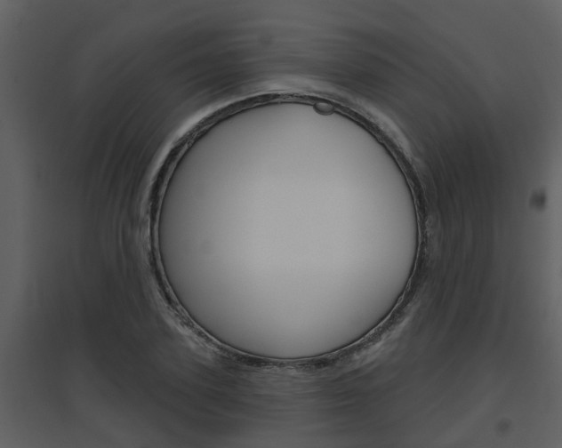 X0000094790931200711160913