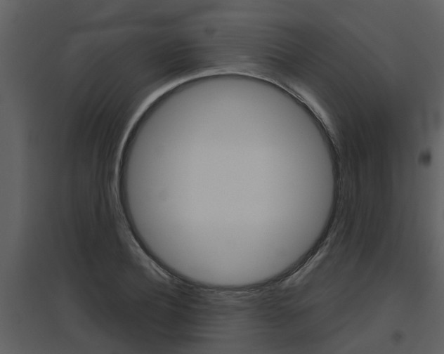 X0000094790932200711160913