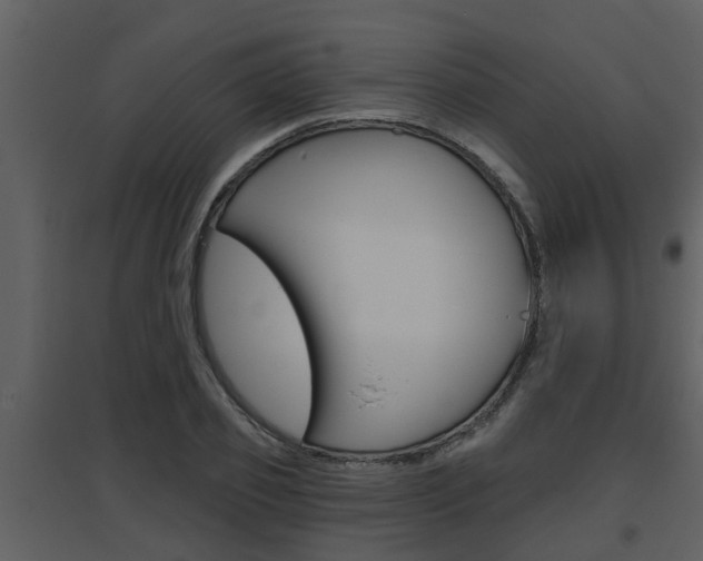 X0000094790933200711160913