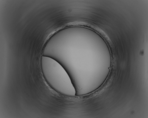 X0000094790937200711160913