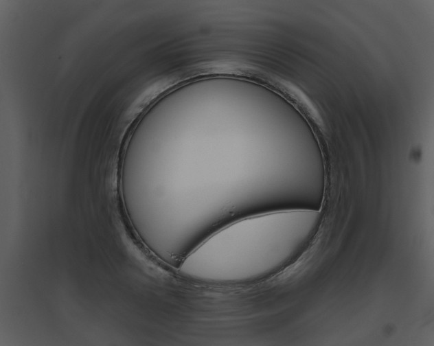 X0000094790938200711160913