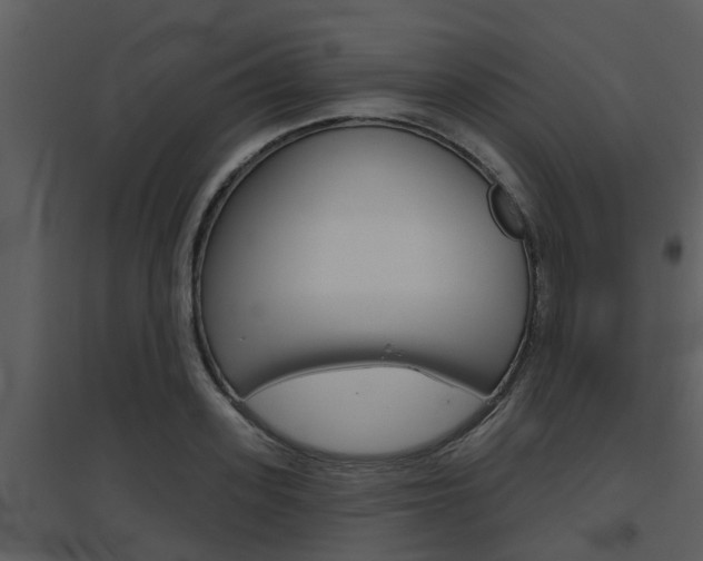 X0000094790939200711160913