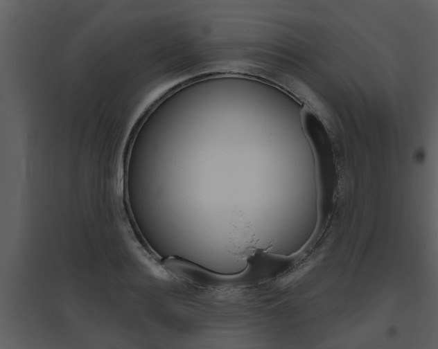 X0000094790940200711160913
