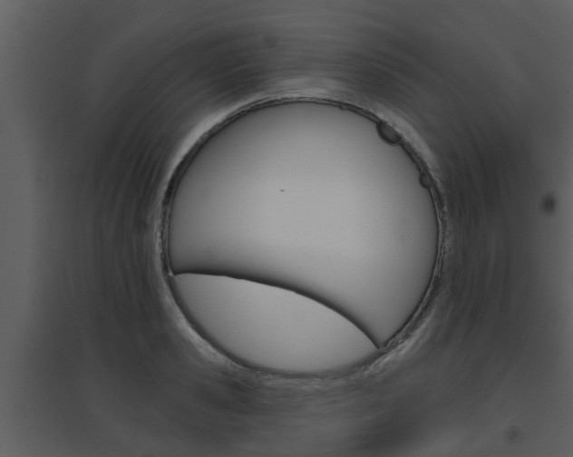 X0000094790941200711160913